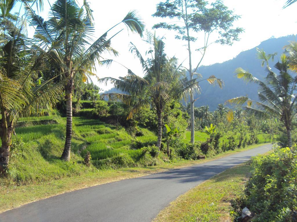 Villa Uma Ayu Sidemen Sidemen  Exteriér fotografie
