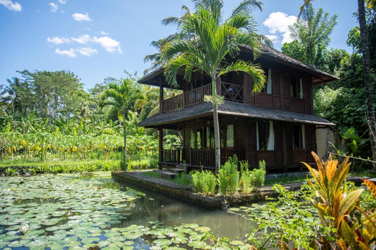 Villa Uma Ayu Sidemen Sidemen  Exteriér fotografie
