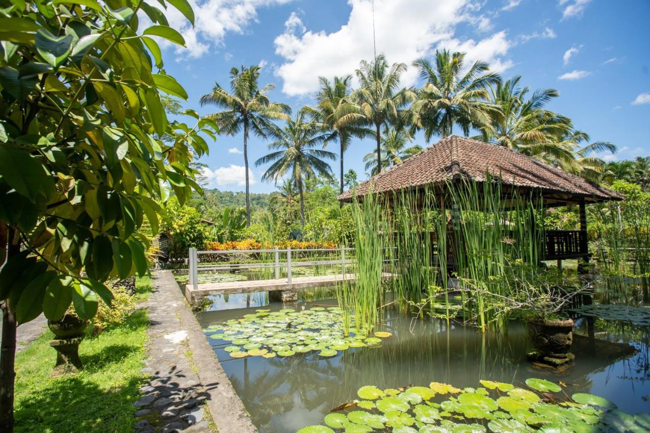 Villa Uma Ayu Sidemen Sidemen  Exteriér fotografie