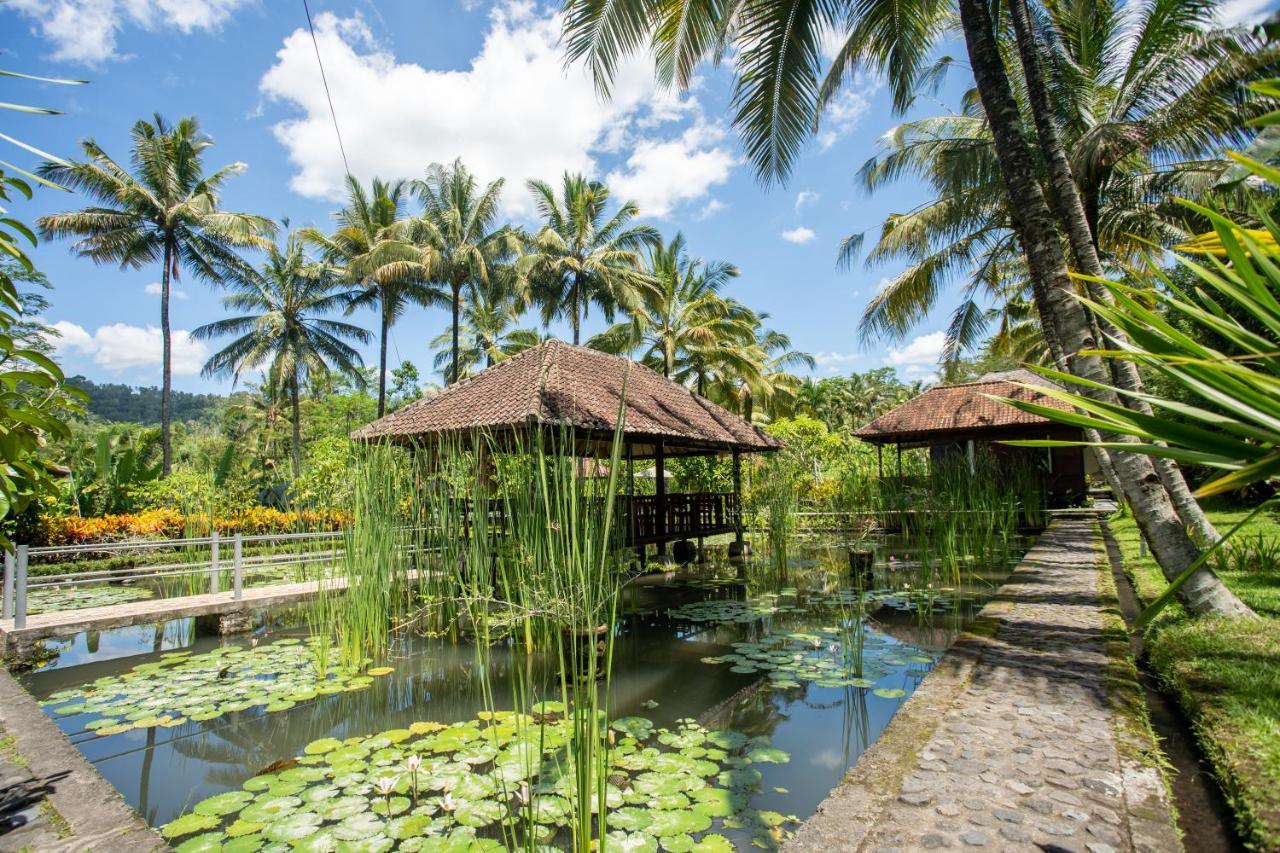 Villa Uma Ayu Sidemen Sidemen  Exteriér fotografie